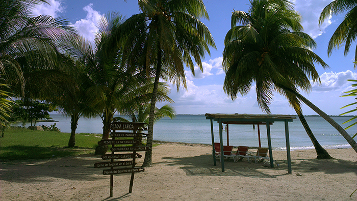 Bay of pig - playa larga Cuba