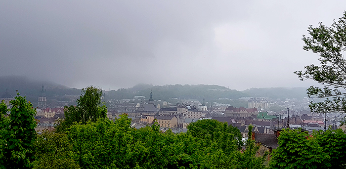 Lviv city view